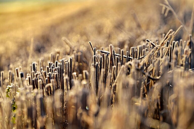 Biblické heslo roku 2026