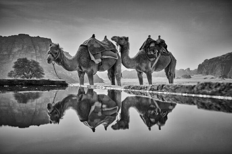 Jordanko_Wadi Rum