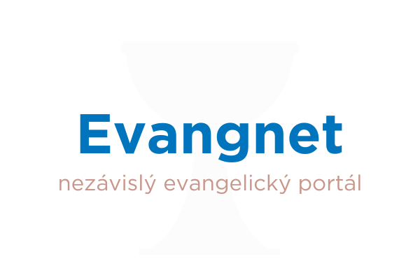 Výpadek serveru způsobil nedostupnost některých webů