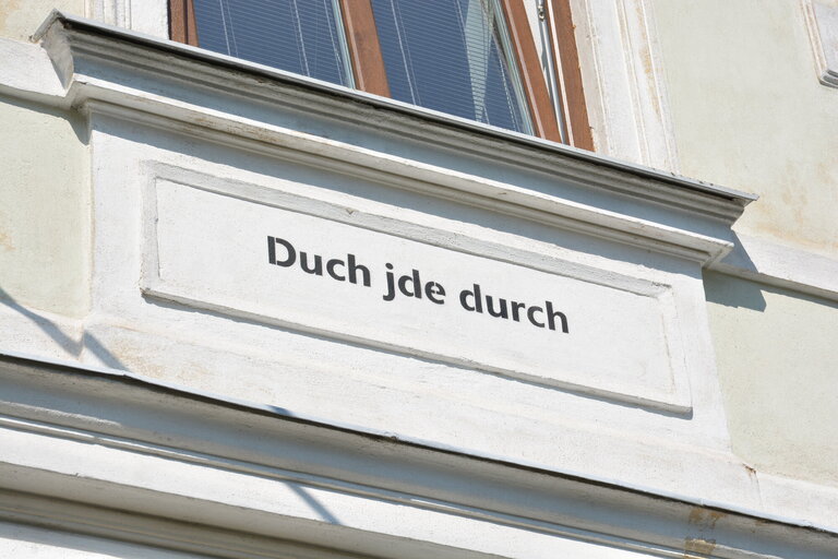 DSC_0841