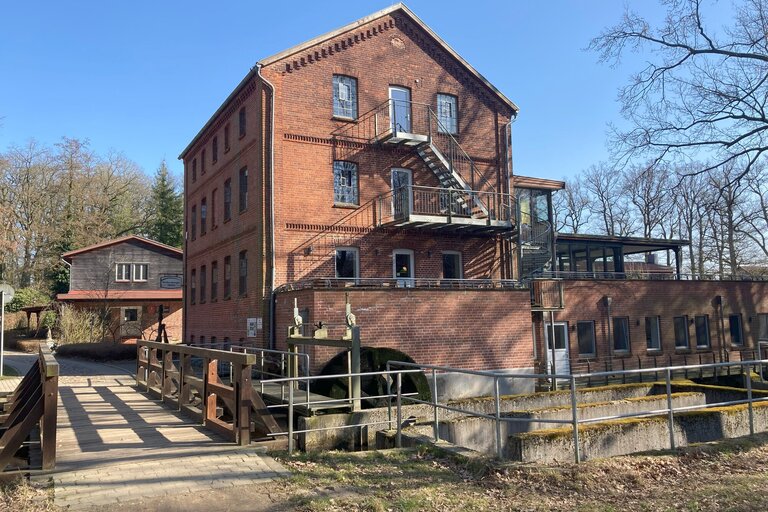 20250306_124915671_iOS