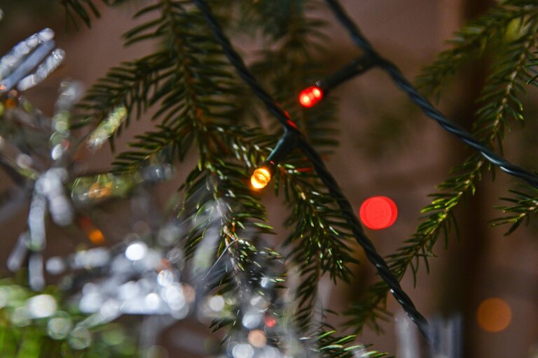 (16. 12.) Ovoce Ducha