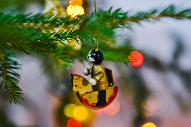 (19. 12.) V Božím dresu