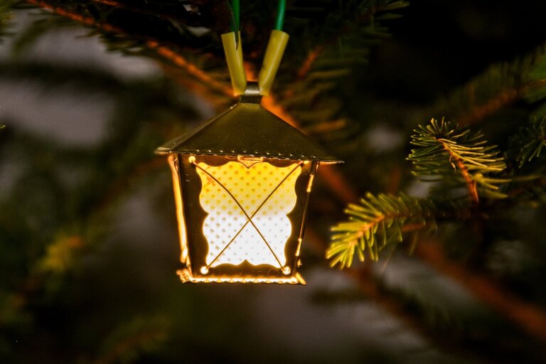 (5. 12.) Víme to opravdu?