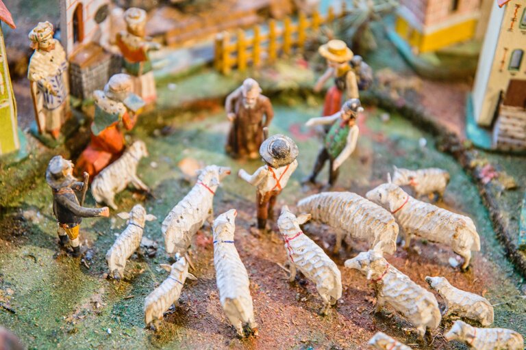 (12. 12.) Přeprogramovat srdce